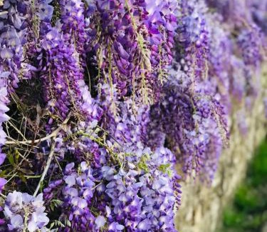 Lastra a Signa Apartment | Charming apartment in Lastra a Signa with included parking