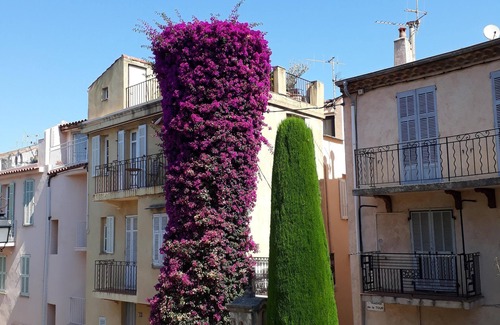 Le Suquet Apartment | Charming apartment with lovely view and balcony in Le Suquet