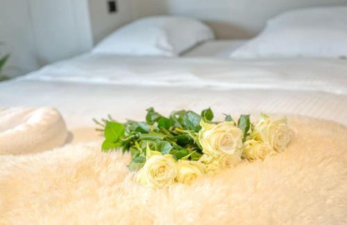 Ghent Apartment | Charming Attic Retreat in Historic Ghent Center