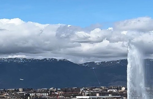 Les Eaux-Vives Bed & Breakfast | Charming bed & breakfast in delightful Genève with WiFi