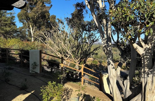 Covenant House | Charming brand new 2-bedroom vineyard house with AC, in peaceful Rancho Santa Fe