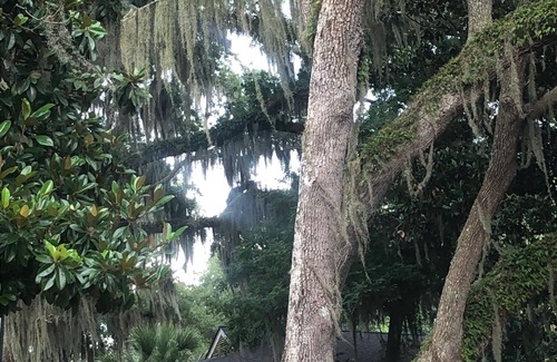 St. Simons Island House | Charming Bungalow suite in Peaceful Sea Palms