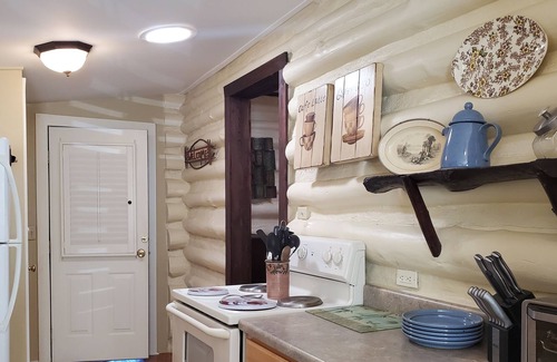 Beverly Hills Cabin | Charming Cabin in the heart of Asheville. Dogs considered!