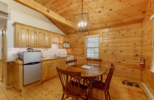Northport Cabin | Charming cabin retreat with fireplace, kitchen, pool table & gym - dog-friendly