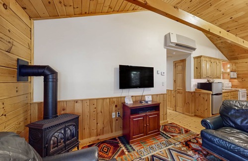 Northport Cabin | Charming cabin retreat with fireplace, kitchen, pool table & gym - dog-friendly