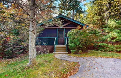 Northport Cabin | Charming cabin retreat with fireplace, kitchen, pool table & gym - dog-friendly