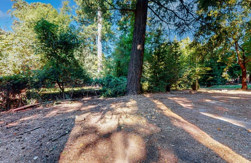 Lake County Apartment | Charming cabin with King Bed, WIFI situated along the natural spring.