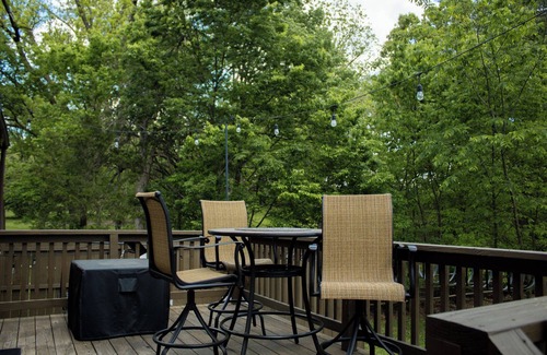 Carthage Cabin | Charming Cabin With Patio/Hot tub Overlooking Pond
