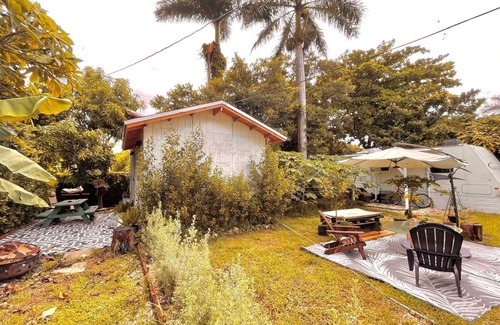 Homestead House | Charming Caravan in the Little Jungle by Legnalife, Homestead with WiFi, AC
