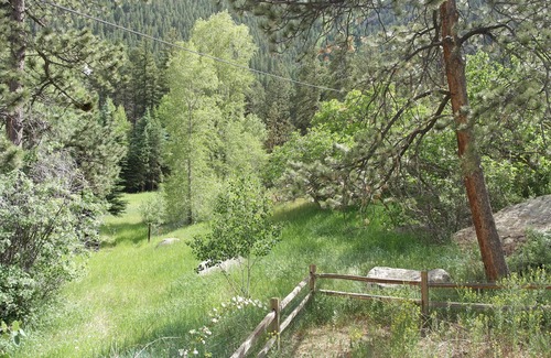 Green Mountain Falls House | Charming Cottage with HOT TUB & EV Charger