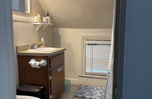 Kalamazoo Apartment | Charming, comfortable 1 Bedroom/1Bath on gorgeous historic street.