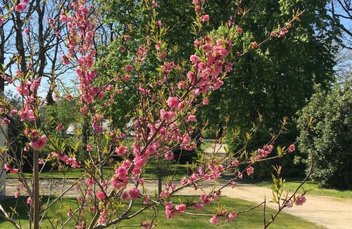 Plonevez-Porzay House | Charming cottage renovated to nine, near Locronan and Beaches at 4km, 3 Stars *