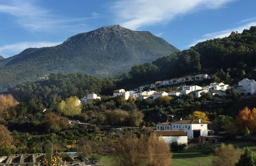 El Bosque Apartment | Charming Cottage