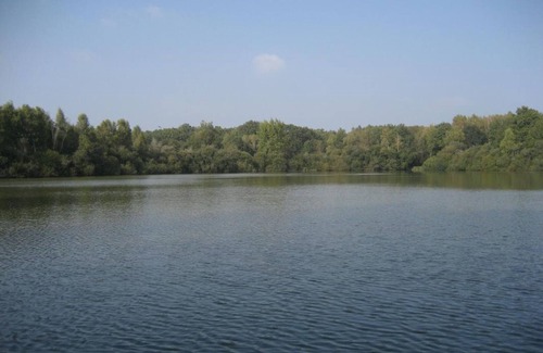 Saint-Viatre Cottage | Charming cottage in Sologne with pond and outdoor activities