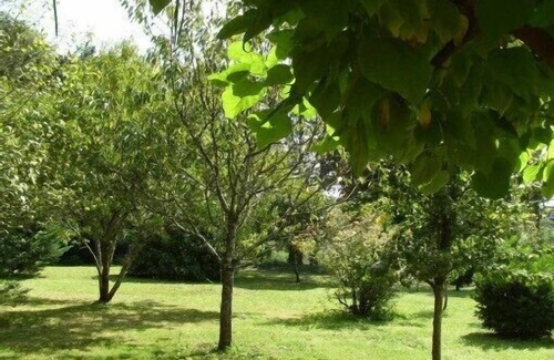 Thonac Cottage | Charming cottage in the heart of the black perigord with swimming pool