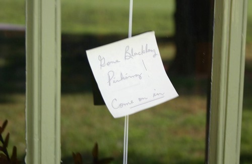Mount Juliet Cottage | Charming cottage on 65 rolling acres