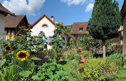 Muellheim House | Charming Cottage with fireplace and terraces in vineyard location