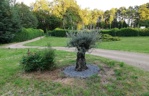 La Coquille House | Charming country house in a wooded garden in Perigord Vert