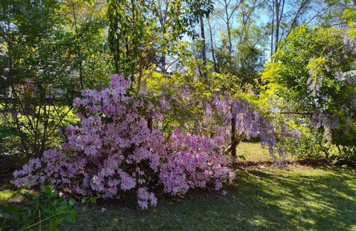 New Bern Cottage | Charming Cozy Cottage Near Downtown New Bern w 2.5 BA