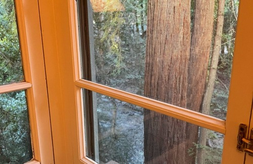 Boulder Creek Cottage | Charming Creekside Cottage nestled in the redwoods in quaint Boulder Creek
