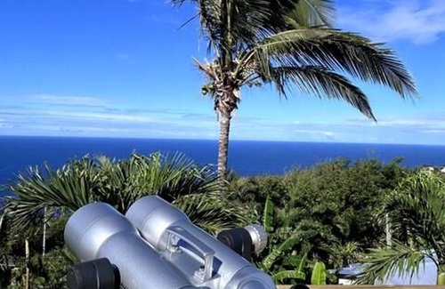 Petite-Ile Cottage | Charming Creole cottage with pool, air conditioning, and parking - Near Grand'Anse beach