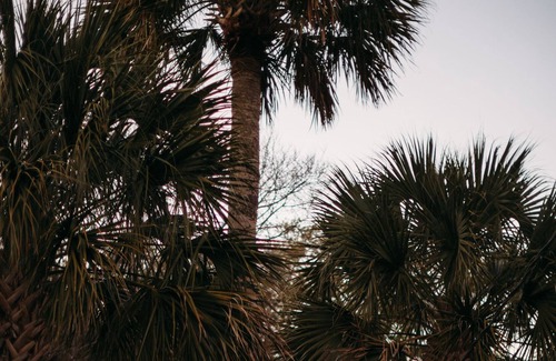 Folly Beach Cottage | Charming designer owned 1940 cottage on Folly. Romantic retreat. Renovated 2020