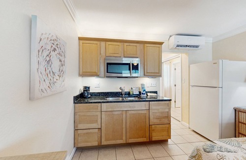 Pass-a-Grille Historic District Condo | Charming dog-friendly studio with WiFi, shared washer/dryer - snowbirds OK