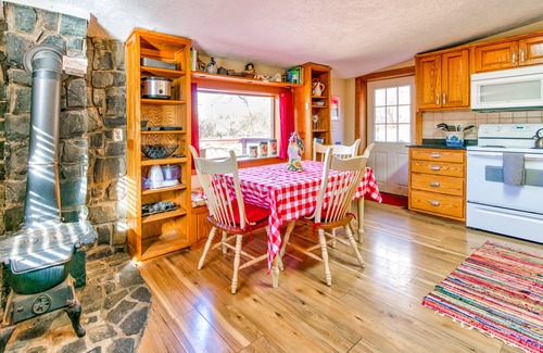 Arden Cabin | Charming dog-friendly mountain cabin with fireplace, central AC, & fast WiFi,