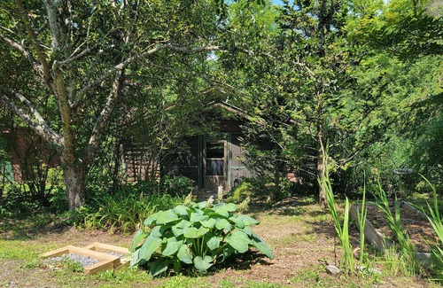 Arden Cabin | Charming dog-friendly mountain cabin with fireplace, central AC, & fast WiFi,
