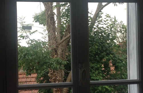 Fontainebleau Apartment | Charming duplex near the castle