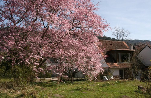 Sulzburg Apartment | Charming holiday home, quiet and close to nature