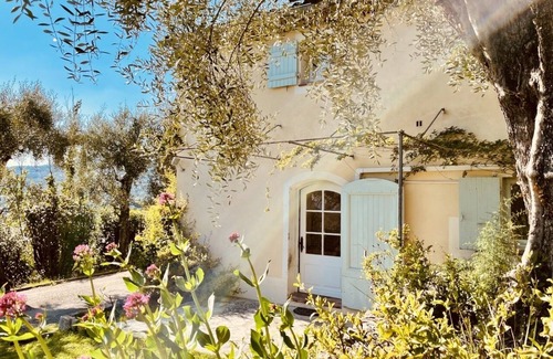 Grasse House | Charming House and Pool in the olive trees