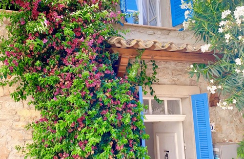 Pierrefeu-du-Var House | Charming house in a Provencal village 20 minutes from the beach