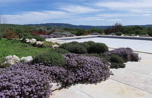 Forcalquier House | Charming house in Provence swimming pool and exceptional view