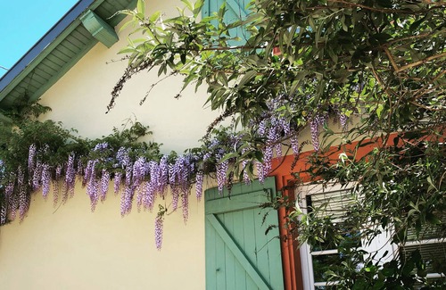 Noe House | Charming house, private pool, hot tub, garden, out of sight-
