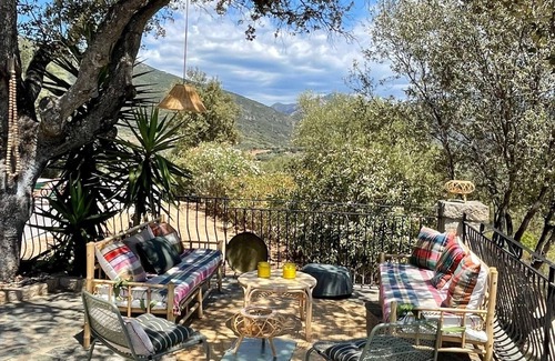 Vetricella House | Charming house surrounded by olive trees