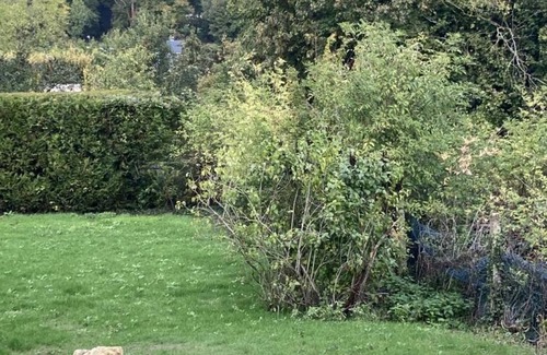 Buzancy Cottage | Charming house with garden in Buzancy, ideal for families and nature lovers