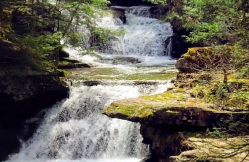 Ferndale Cottage | Charming Lake-House in the heart of the Catskills