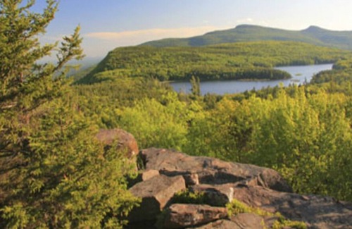Ferndale Cottage | Charming Lake-House in the heart of the Catskills