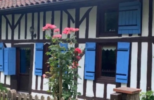 Luglon House | CHARMING LANDAISE-TYPE HOUSE WITH SWIMMING POOL