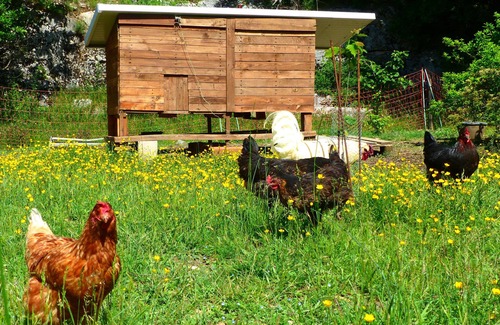 Banon Other | Charming loft on an organic farm in Haute Provence