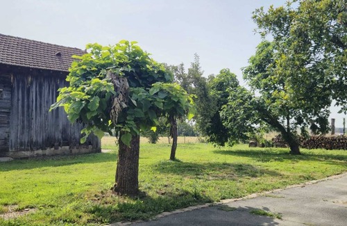 Bergerac House | Charming longère "Les Galinoux" just a few minutes from Bergerac town center