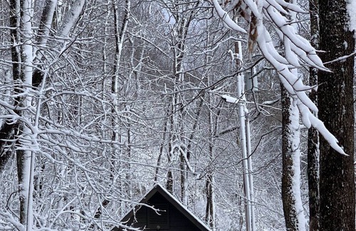 Highlands Cabin | Charming mountain cabin only 5 minutes to DT Highlands.