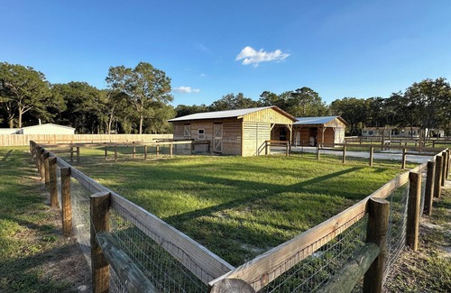 Ocala House | Charming new 3-bedroom mobile home only 3 minutes from WEC.