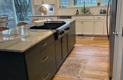 Williamsburg House | Charming new built 3-bedrooms house with spacious living area & gourmet kitchen.