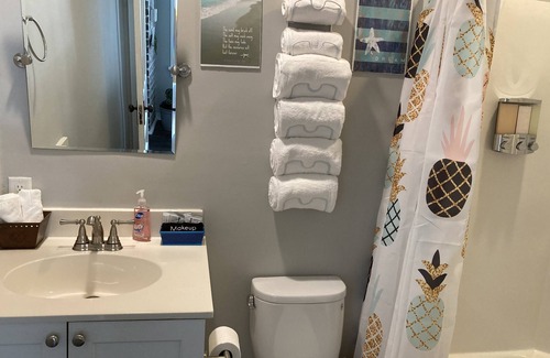 Charleston Historic District Condo | Charming One Bedroom Apartment in Downtown