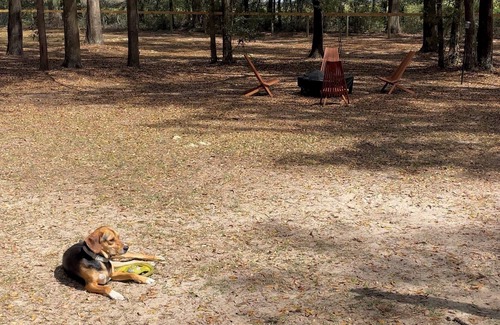 Fellowship House | Charming, Pet-Friendly Retreat - 4min to WEC with fenced in yard + camper setup