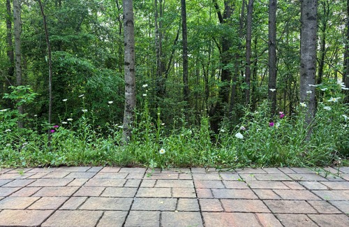 Buford House | Charming Private Guest Suite in marvelous Buford with WiFi, AC