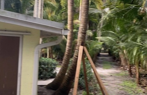 Boynton Beach House | Charming Private Bedroom on a Palm Tree Farm