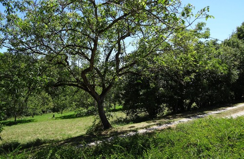 Gourdon House | Charming property on 3 hectares of parkland, peace and quiet 1km from the town center